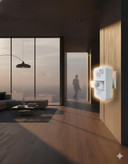 دزدگیر دفتر ، سالن